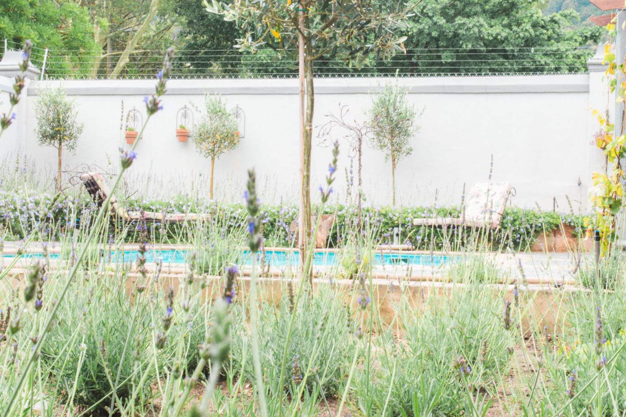 Olive Tree Lodge Paarl Esterno foto